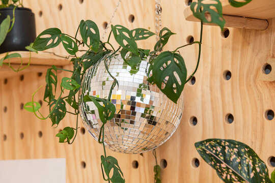 Detailed view of disco ball with lush plants