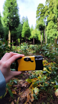 Disposable camera
