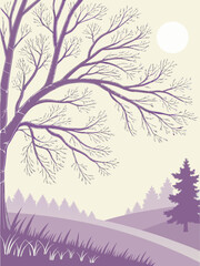 Obraz premium Winter Landscape with Bare Trees and Distant Pines Under a Pale Sun.