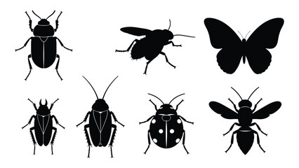 Silhouettes of various insects on a white background isolated on white background, Vector © SILHUETTECHEMBER