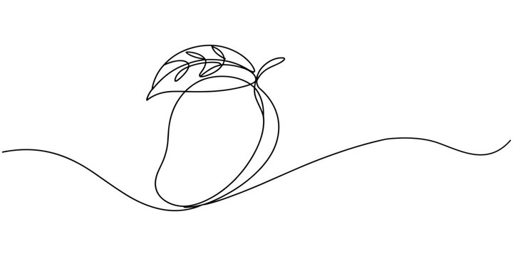 Continuous one line drawing of mango. Doodle vector illustration, Continuous one line drawing of mango fruit with leaf. Mango fruit hand drawn single line art vector illustration, Continuous line draw