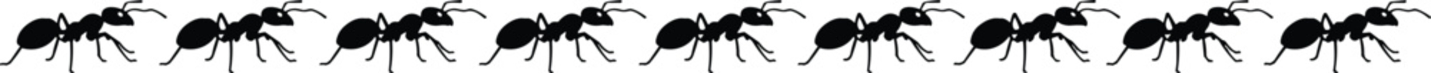 Black silhouettes of ants marching in a line, small insect group, nature colony trail, worker ant silhouettes isolated on white, © Boby
