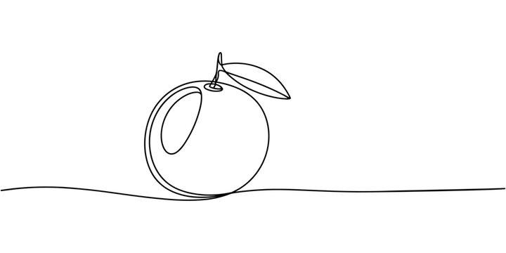 Single line lemon fruit drawing white background. Continuous single one line drawing of lemon fresh summer fruit vector illustration, single line lemon icon. Lemon fruit continuous one line drawing 
