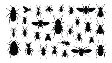 A collection of various black insect silhouettes on a white background isolated on white background, Vector © SILHUETTECHEMBER