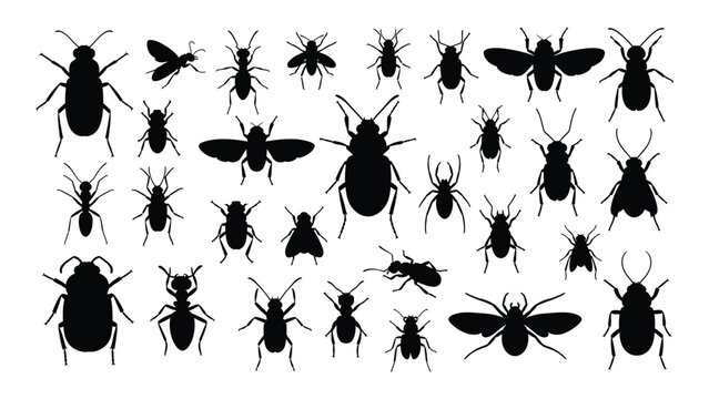 A collection of various black insect silhouettes on a white background isolated on white background, Vector