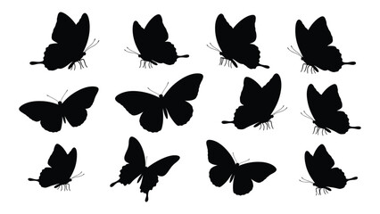 A group of black butterfly silhouettes on a white background isolated on white background, Vector