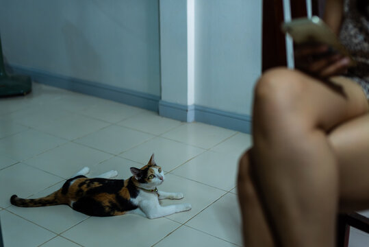 Lazy morning with a woman and her cat at home