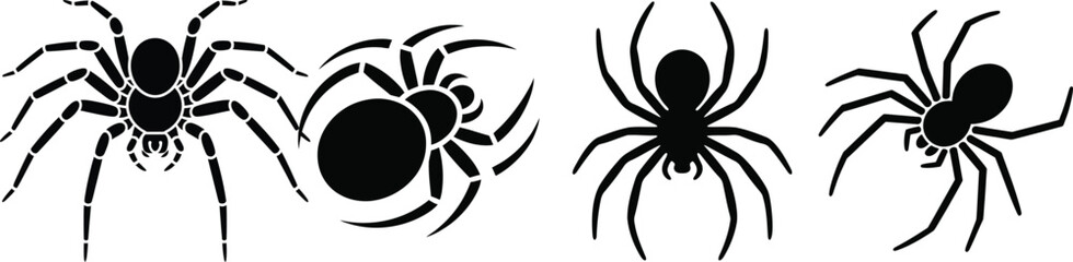 A series of four black spider illustrations with varying sizes and orientations Vector, illustration © jibonstock