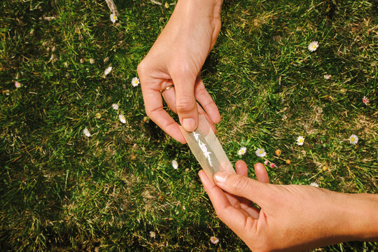 Hands rolling paper with herbs outdoors