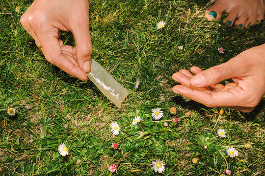 Hands rolling paper with herbs outdoors