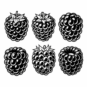 Set of six stylized black and white raspberry or blackberry illustrations, perfect for designs, logos, or tattoo art.