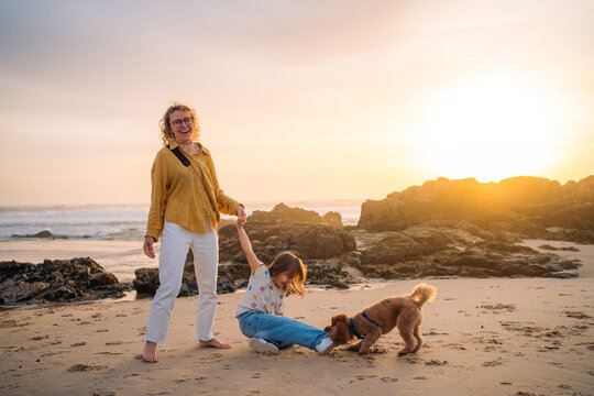 Dog pulling pant leg on beach at sunset