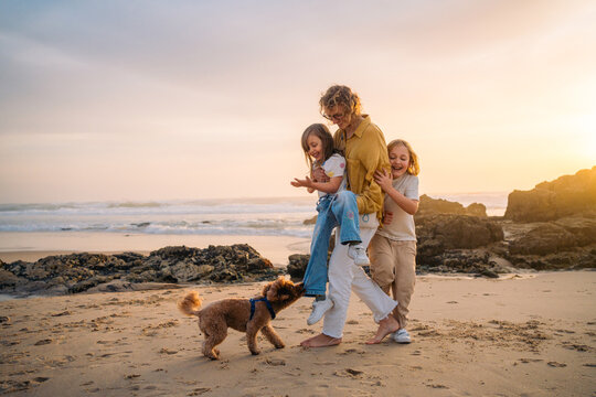 Playful tugging game at golden hour