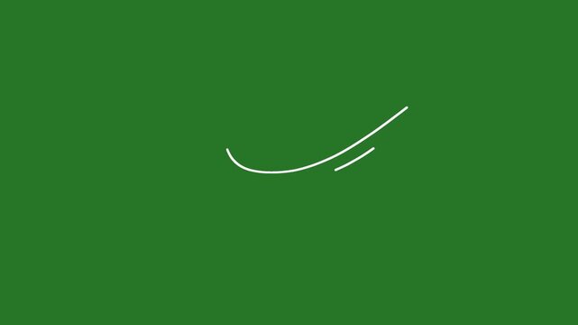 vector white lines wind effect on green screen, UI motion graphics. alpha adjustment layer, smooth animated line filter, 2d animation