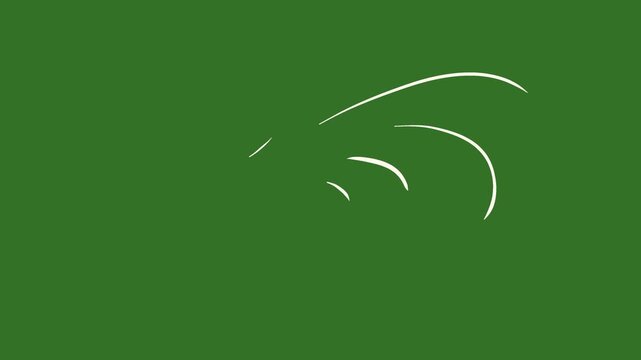 vector white lines wind effect on green screen, UI motion graphics. alpha adjustment layer, smooth animated line filter, 2d animation