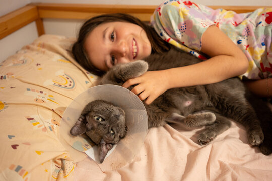 Recovery Cone Cat at Home