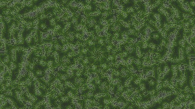 Aerial view of lush green foliage in a dense forest pattern texture