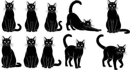 Black cat silhouettes collection, feline pet vector set, cute kitty poses isolated animal illustration design template pack © Mst