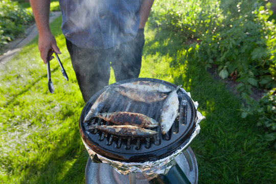 Grilling Sardines in backyard