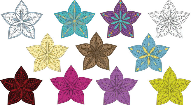Decorative Floral Star Ornament Set with Colorful Mandala Flower Shapes Ethnic Pattern Vector Illustration Collection