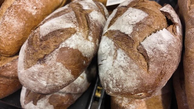 Freshly baked artisan sourdough bread loaves on display in local bakery shop with flour dusting and golden crust