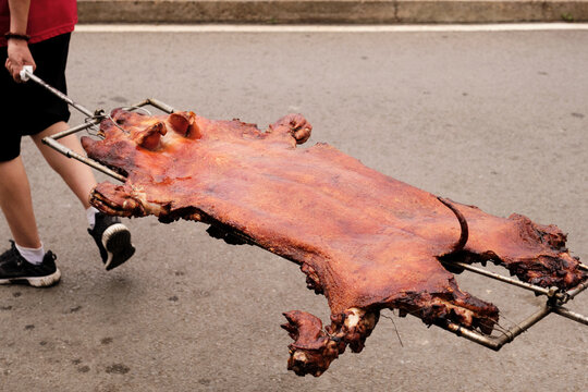 Closeup of roasted whole pig being carried
