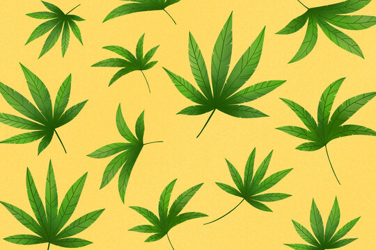 Green leaves of marijuana on bright yellow background making pattern. 