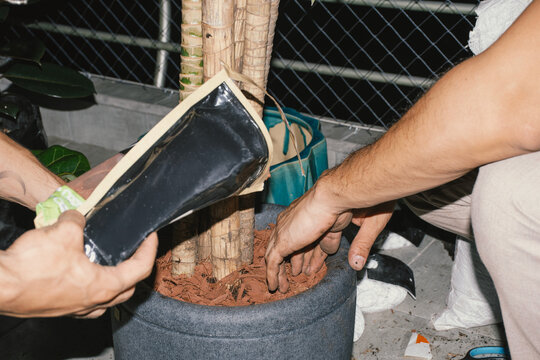 Closeup of two men's hands gardening
