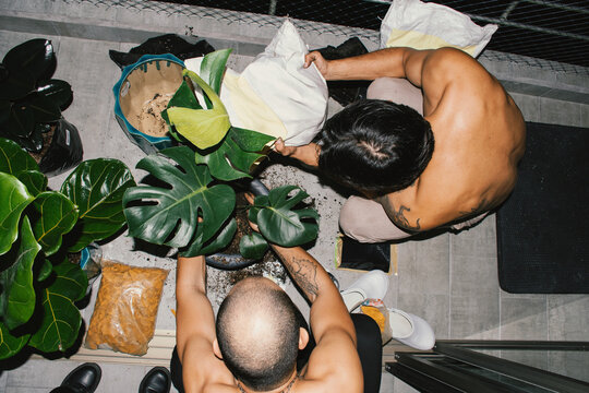 Shirtless men replanting balcony plants 