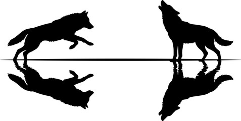 Wolf silhouettes with reflection, jumping and howling wolf mirror effect, black wolf silhouette isolated illustration set design
