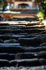 26219鎌倉　浄智寺4　紅梅