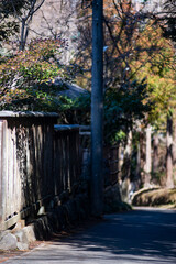 26219鎌倉　北鎌倉8　板塀