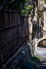 26219鎌倉　北鎌倉7　竹柵