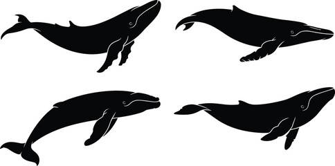 Whale silhouette set, ocean marine mammal collection, humpback whale icons, sea wildlife isolated design, flat vector silhouette set, ocean  © Miss