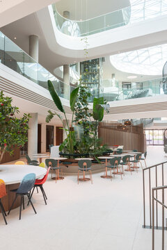 Bright Office Atrium With Indoor Seating And Plants