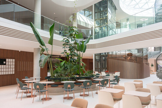 Office Atrium With Indoor Garden And Seating