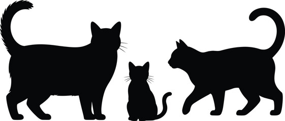Black cat silhouette set featuring standing, sitting, and walking poses, perfect for pet design, animal artwork, feline behavior, and decorative projects © ANWAR