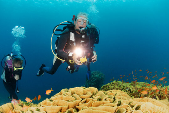 Group of Senior Scuba Divers Underwater