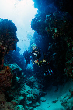 Scuba Diving in an Underwater Coral Reef Canyon