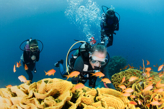 Group of Senior Scuba Divers Diving