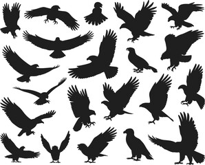 Obraz premium Eagle silhouettes set flying birds of prey flat vector illustration isolated on white background wildlife mascot clipart collection