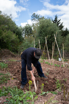 Farmer working with hoe in vegetable garden