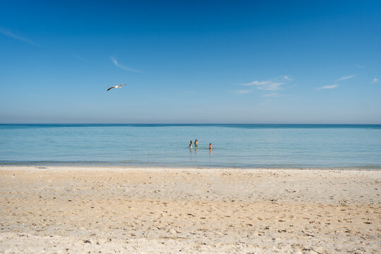 Three kids playing in the water at the beach