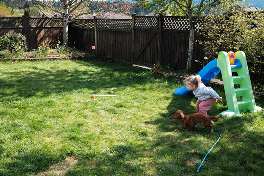 Young toddler girl plays fetch with puppy