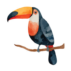 Fototapeta premium Vibrant Watercolor Toucan Perched on Branch Tropical Bird Illustration.