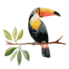 Fototapeta premium Vibrant Watercolor Tropical Toucan Bird Perched on Branch Illustration.