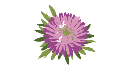 Fototapeta premium Purple flower head with green leaves in center
