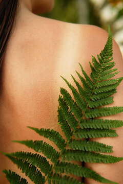 Back with Tan Lines and Fern Leaf
