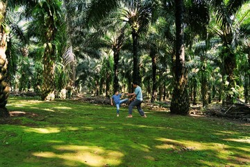 A father and child practicing martial arts together outdoors, highlighting discipline, strength, and family bonding.