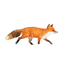 Obraz premium Watercolor Red Fox Illustration Walking.